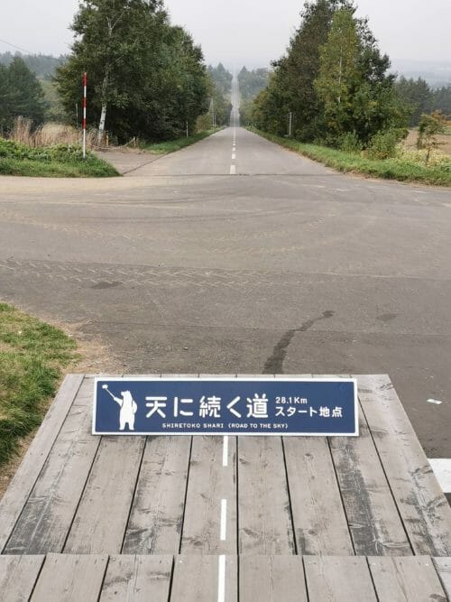 天に続く道