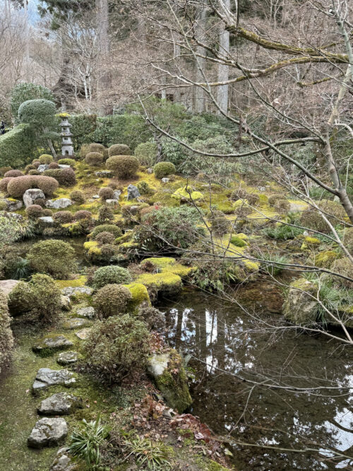 宝泉院の庭